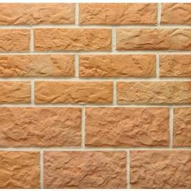 Плитняк Разноцвет прямая