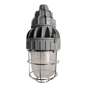 Светильник NexDay 301 SG/G R50