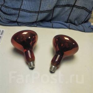 Лампочка Термоизлучатель ИКЗК красная 250Вт Е27 38859