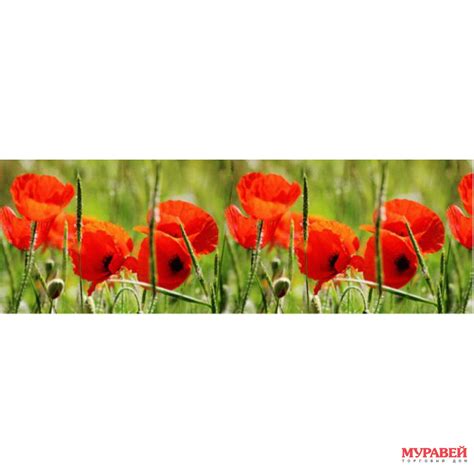 Фартук д/кухни ХДФ 2070*695*3мм цв Элит чайная симфония