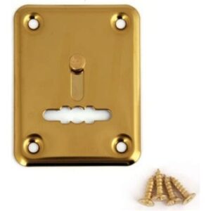 Накладка декоративная AVERS DP-01-S-G-shutter