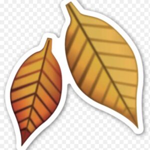 Наклейка ложки-повар.