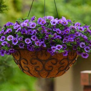 Цветы  (подвесное кашпо)  в ассорт d23см 1шт
