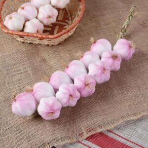 Муляж "СВЯЗКА ЧЕСНОКА" 40см 12шт 3601726