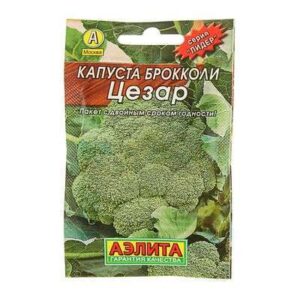 Капуста брокколи "Цезар" 0