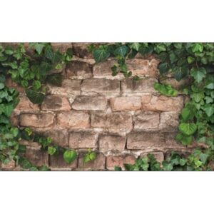 Фартук-панно ПВХ ГРЕЙС 602х1002 "Зеленый плющ"