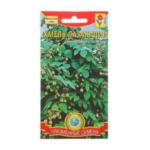 Хмель лазающий 4 шт 1766860