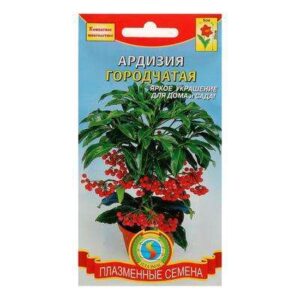 Ардизия городчатая 3 шт 1766912