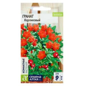 Гранат карликовый  5шт 2858852