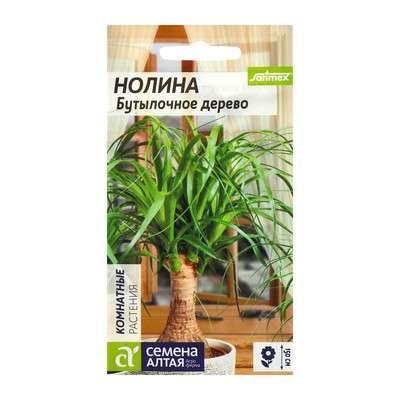 Нолина "БУТЫЛОЧНОЕ дерево" мн. 3шт 2858863