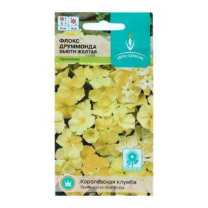 Флокс "БЬЮТИ"