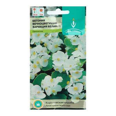 Бегония вечноцв. "Вариация белая F1" 10шт 5460448