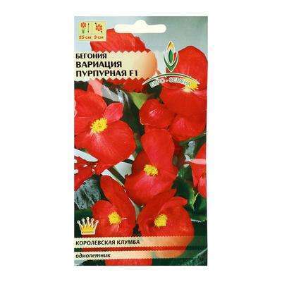 Бегония вечноцв. "Вариация пурпурная F1" 10шт 5460449