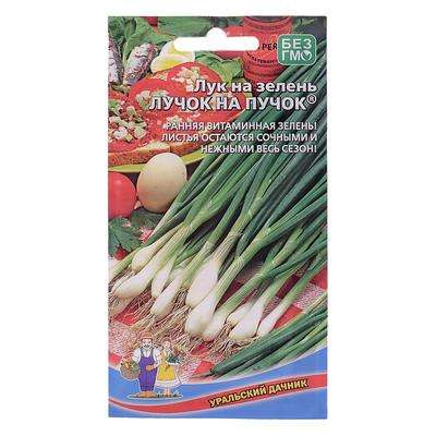 Лук на зелень "Лучок на пучок" 0