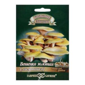 Мицелий на компосте 12шт (Вешенка золотая) 2869307