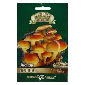 Мицелий на компосте 12шт (опенок зимний) 5462511