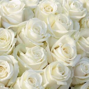 Фотообои Тула Букет Лирика VIP 294х260