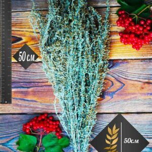 Веник Полынь