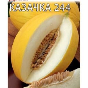 Дыня "Казачка 244" 1г 7349141