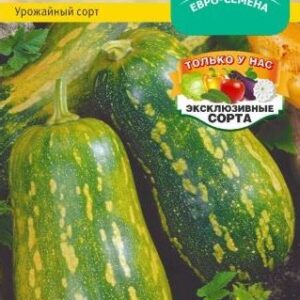 Тыква "Димка" 10шт 7500904