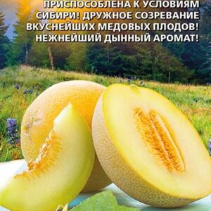 Дыня "Апельсинка" 10шт. 7584856