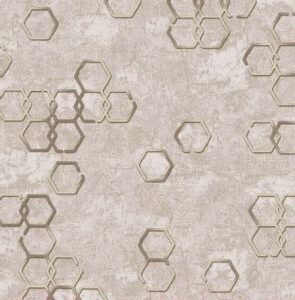 Обои Гомель Модерн 21 дуплекс 0141-21