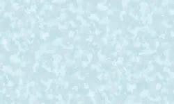 Обои Solo/Anturage Monica