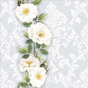 Обои Solo/Anturage Monica