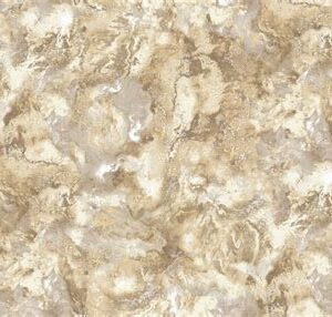 Обои Solo/Anturage Evolution