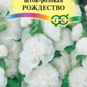 Мальва "Гавриш" "Рождество" 0