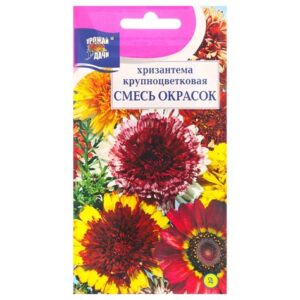 Хризантема "Смесь окрасок" крупноцв. 0