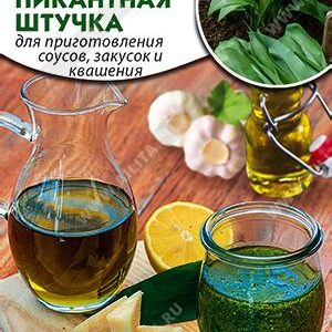 Черемша "Пикантная штучка" 0