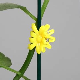 Клипса для растений