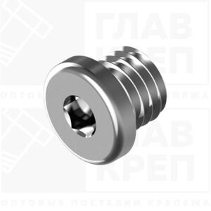 Пробка резьб.цил.с внутр/шестигр. М 10х1 А2 DIN 908 (нерж.)