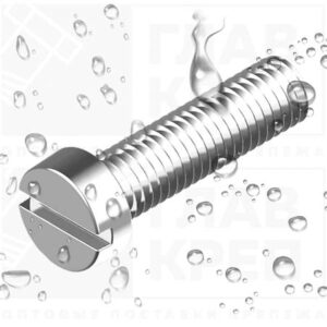 Винт цил/гл. прям/шл 5х30 ДИН 84 А2