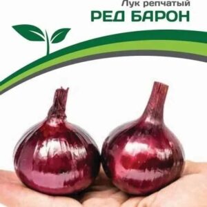 Лук репчатый "Ред Барон" 0