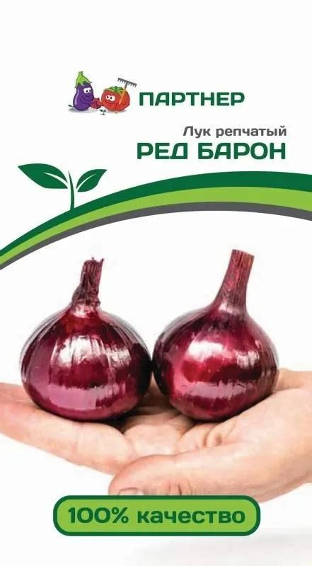 Лук репчатый "Ред Барон" 0