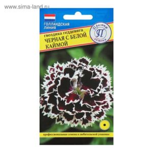 Гвоздика "Черная" с белой каймой 15шт. 4808574