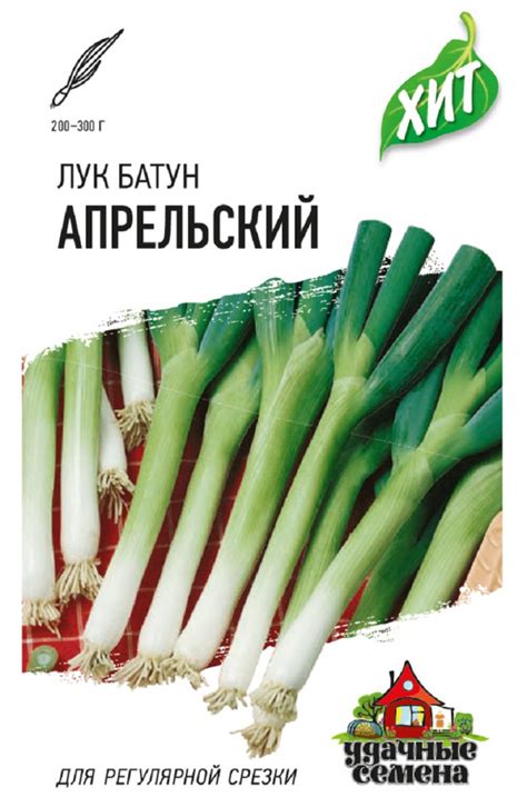 Лук батун Апрельский 0