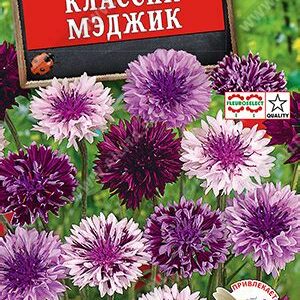 Василек "Классик Мэджик"  0