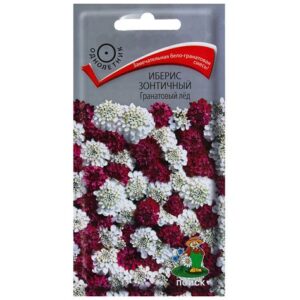 Семена цветов Иберис зонтичный "Гранатовый лед"  0
