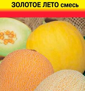 Дыня "Золотое лето" 1г 9338388