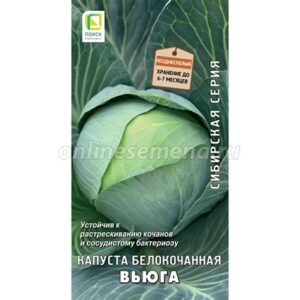 Капуста белокачан. "Сила Сибири" 0