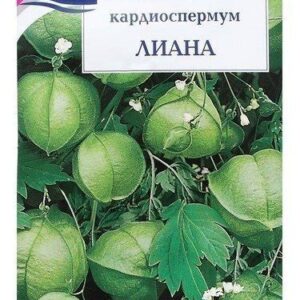 Семена цветов Кардиоспермум "ЛИАНА"  0