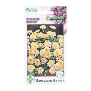 Пиретрум "девичий Сантана" 10шт. 9395634