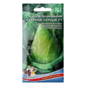 Капуста белокачан. "Сахарное сердце" 0